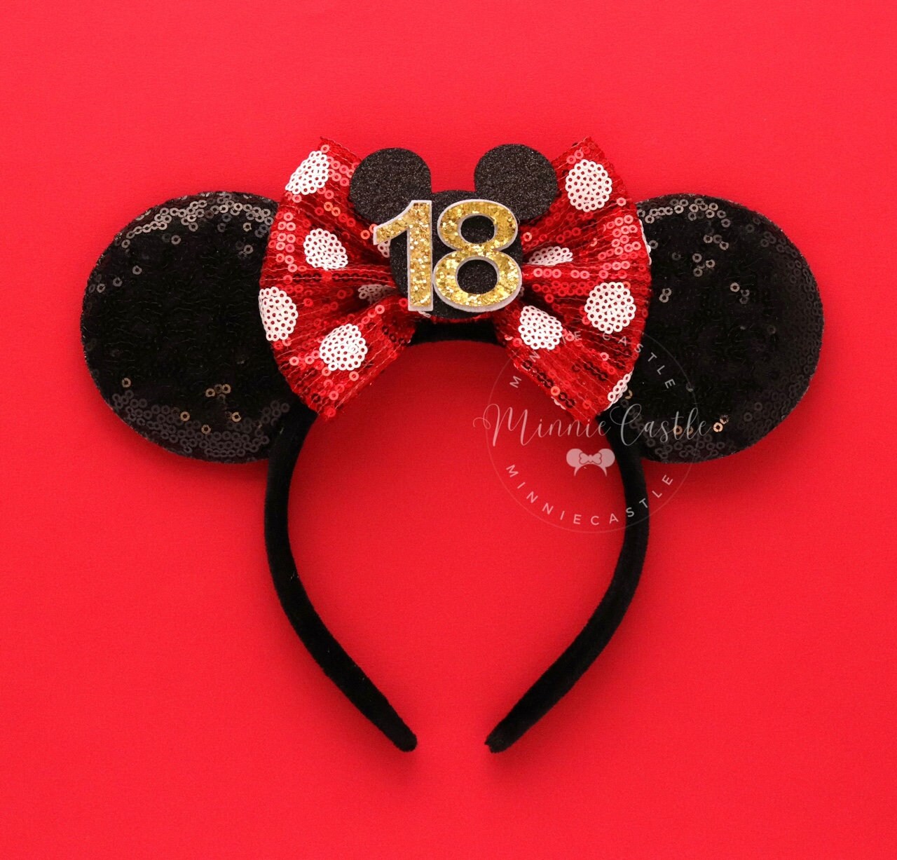 21st Birthday Mickey Ears